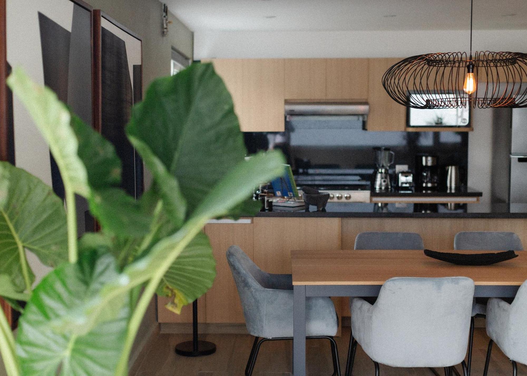 Apartament Elba By Mr W Meksyk Pokój zdjęcie